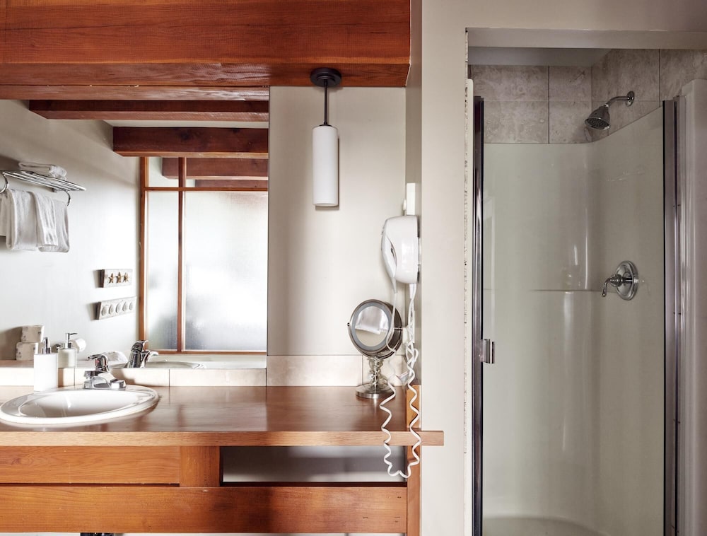 Ocean's Edge - Image 3