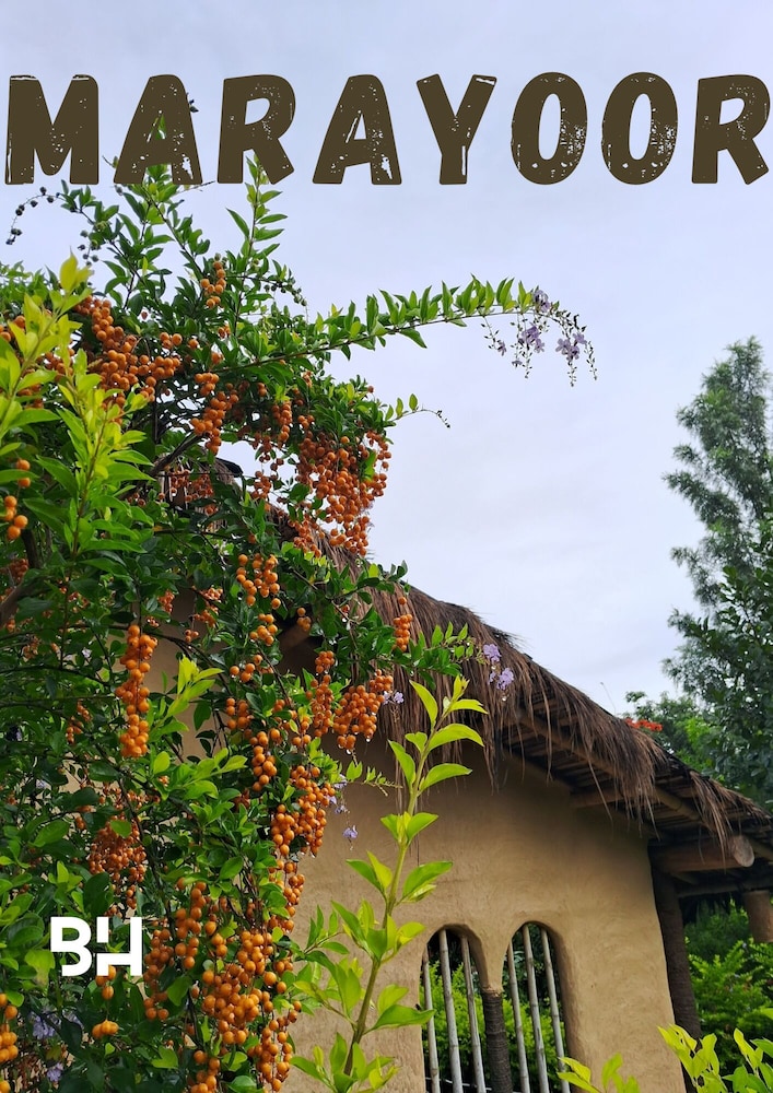 Nature Tones By BRDGE HOSPITALITY