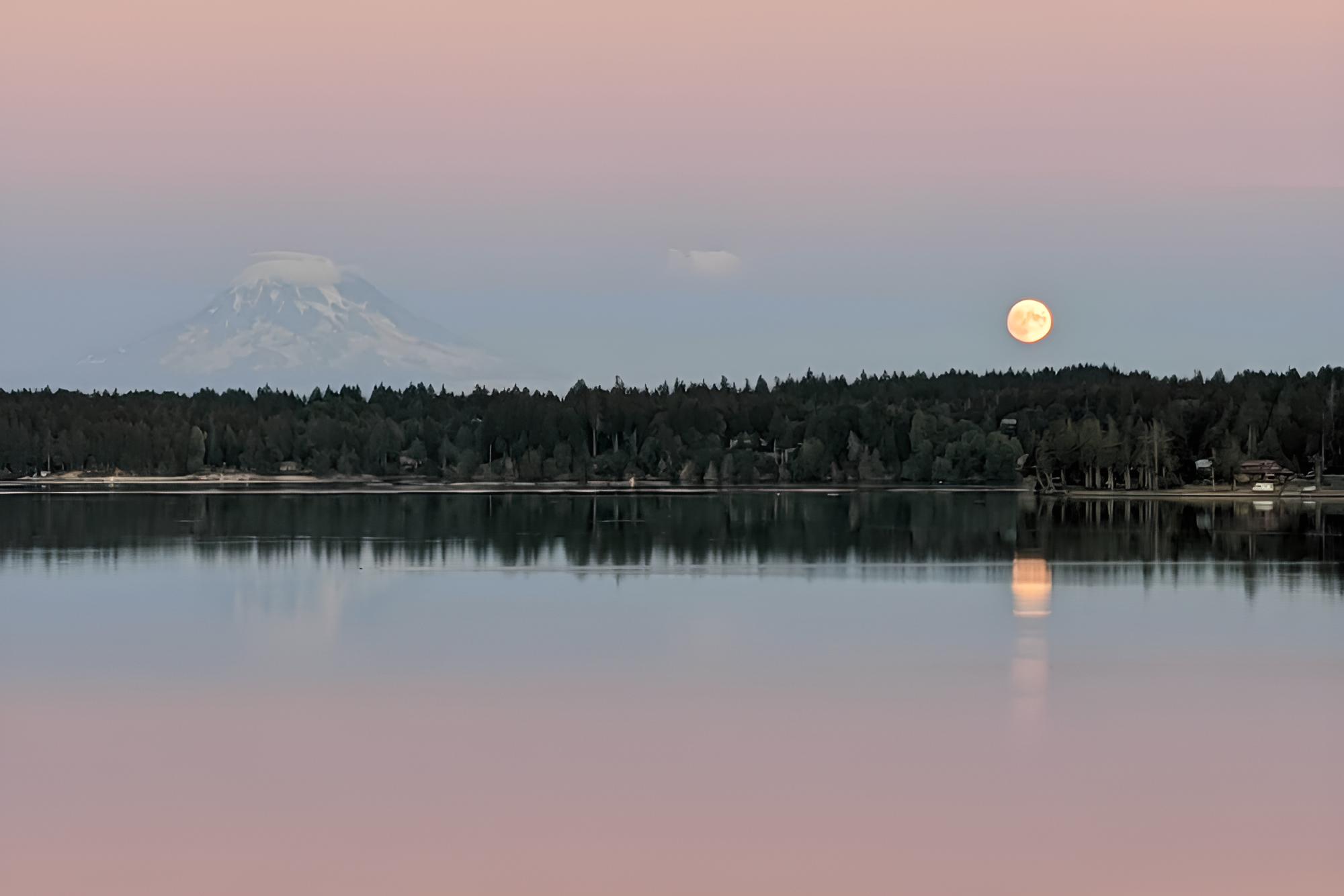 Quiet Beachfront Family Home w/ Mt. Rainier Views! view 5