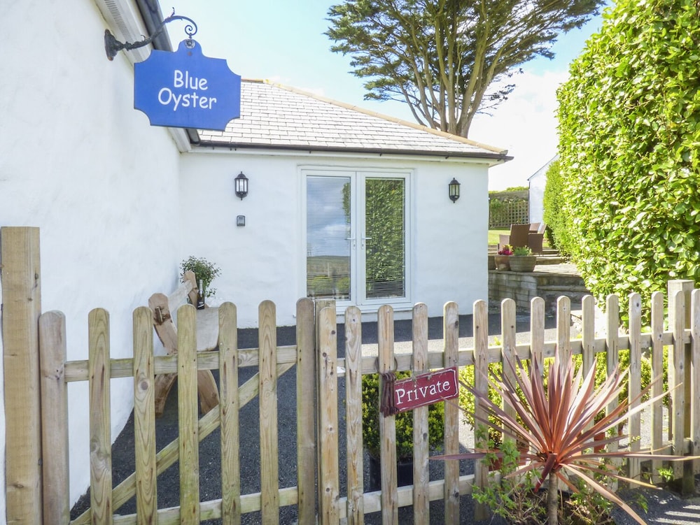 Blue Oyster
