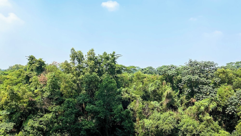 Best Choice and Homey 2BR Podomoro Golf View Apartment