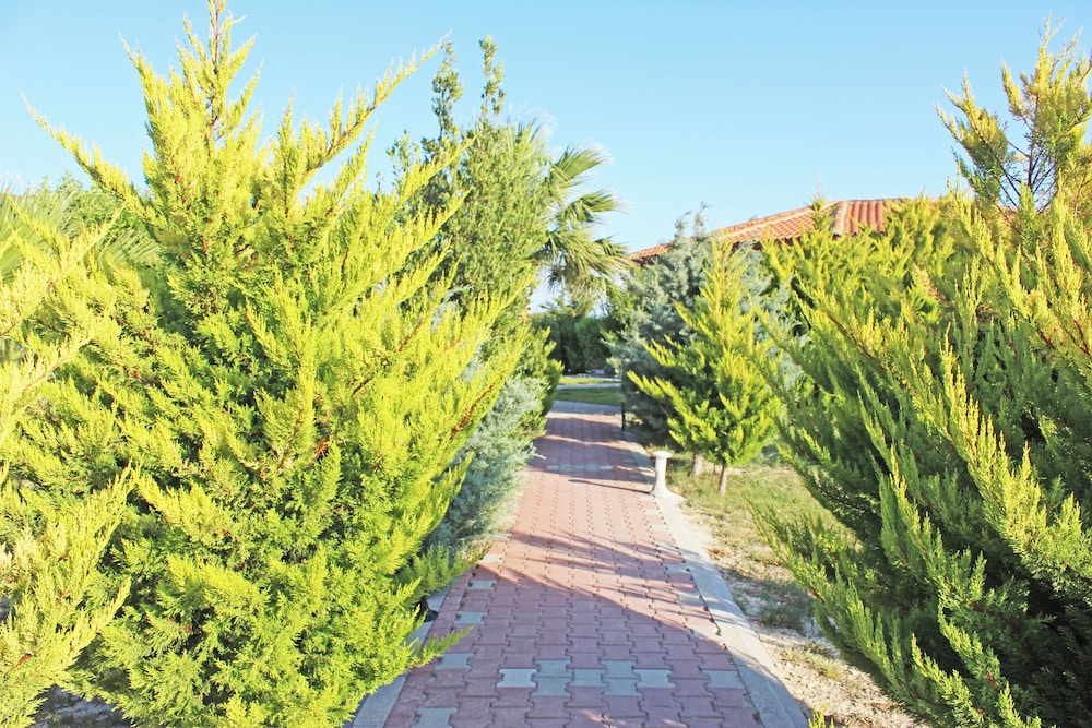 Karina Vineyard Evi - Image 30