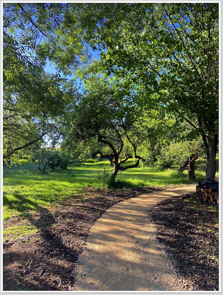 Flo  Marc les hotes de Chouzy-sur-Cisse - Property Image 14