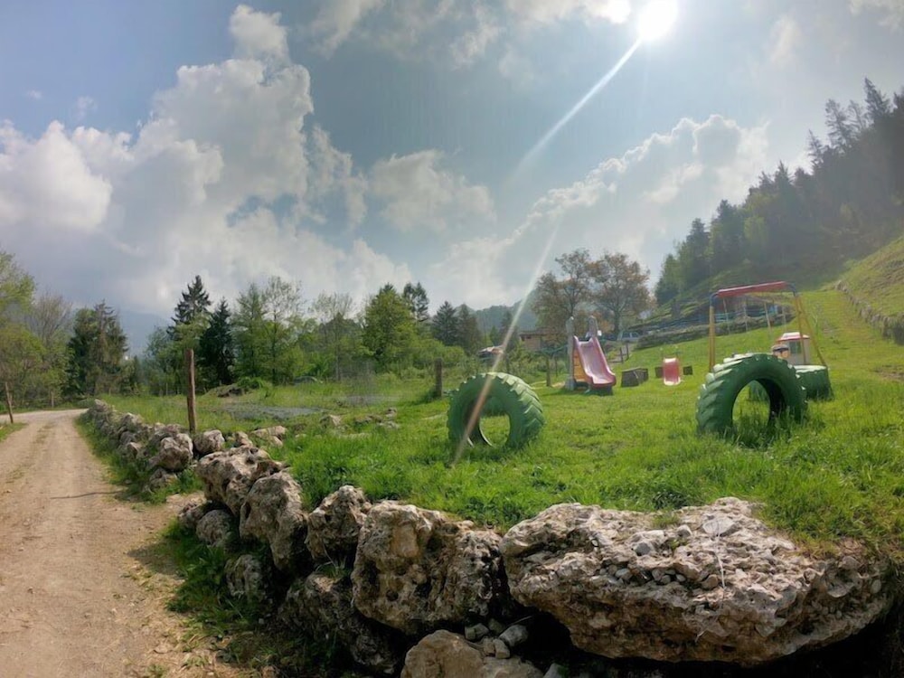 Photo 44