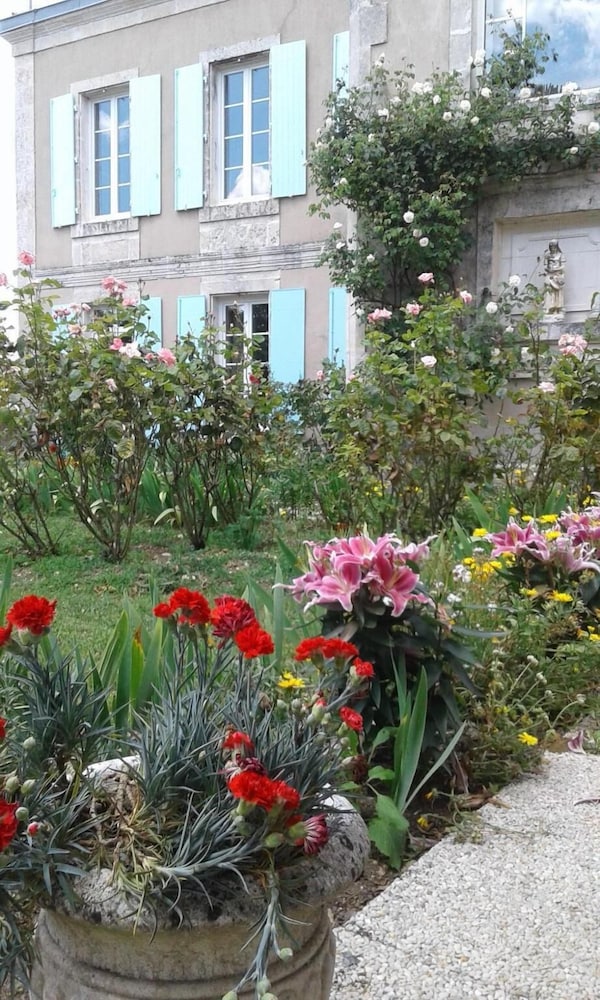 Photo 12
