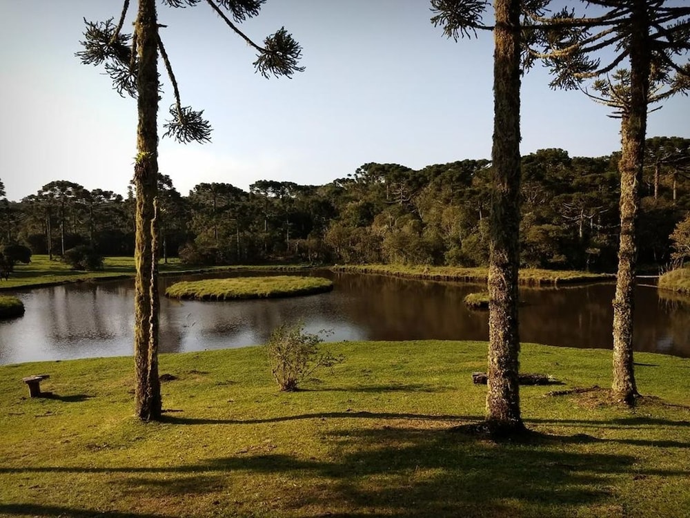 Refúgio da Floresta