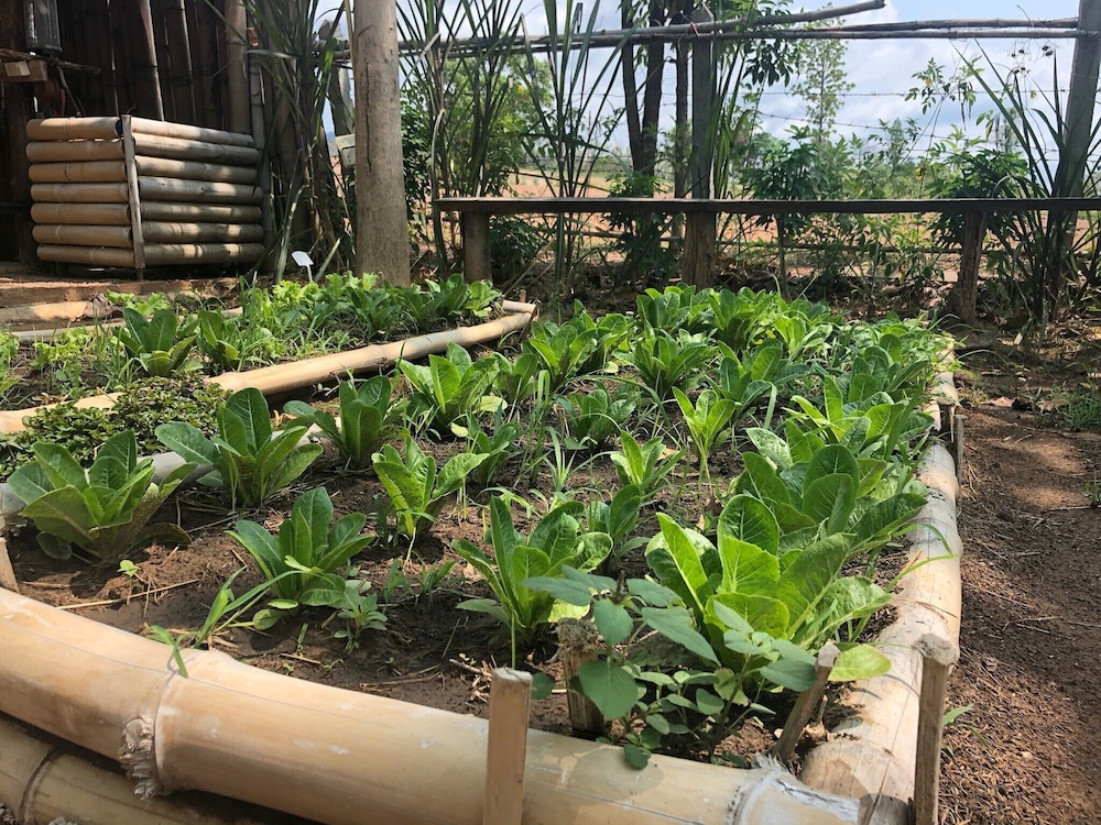 ThamMaChatPhan FARM