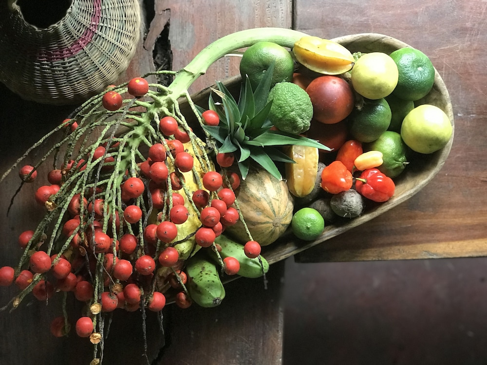 Hacienda Herrera Tambopata