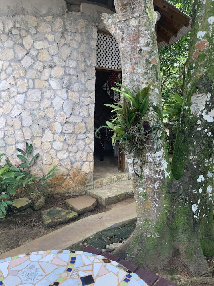 Yoga Dreams Negril