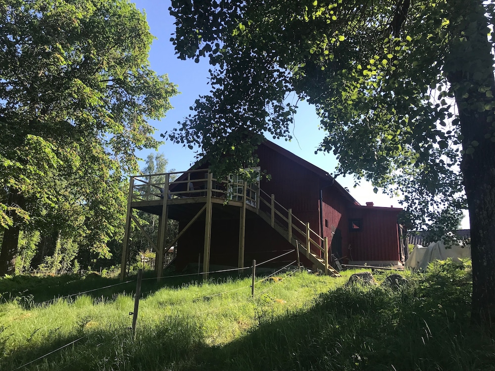 Björnåsen Bear Hill