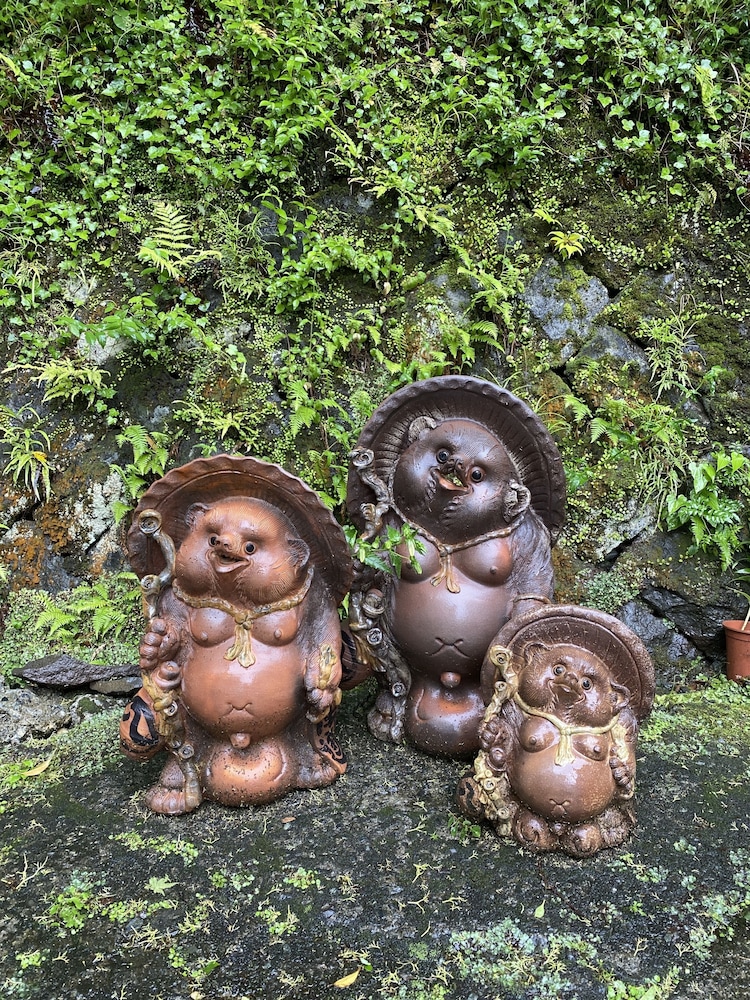 Hakonowa Hot spring inn view 5