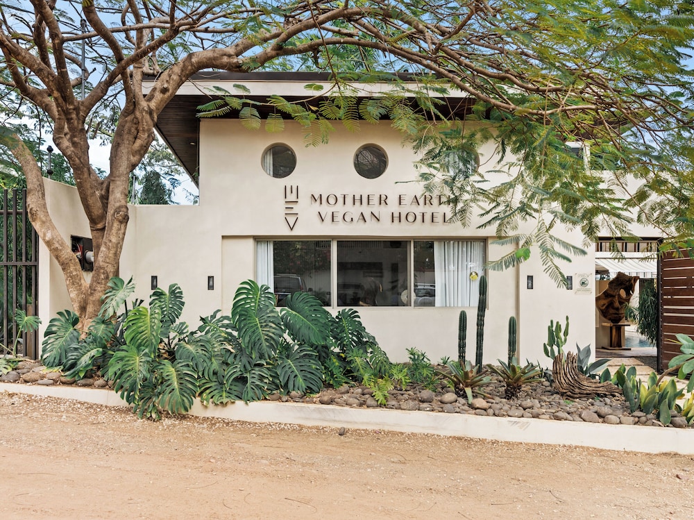 Guanacaste - Costa Rica Vacations - Mother Earth Vegan Hotel  Restaurant - Property Image 5