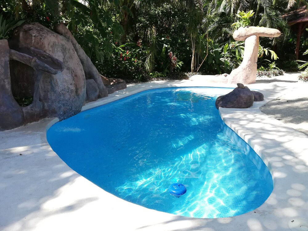 Photo 8
