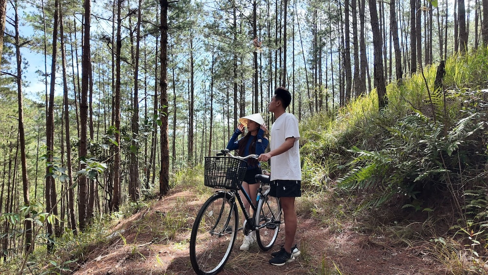 DaLart Glamping & Coffee
