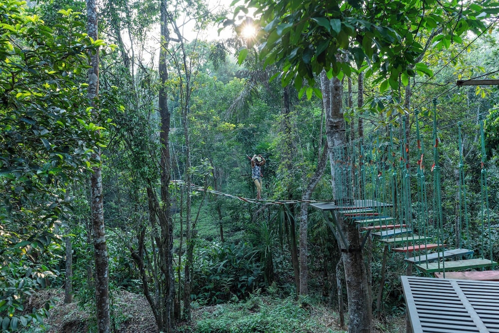 Vyna Hillock Resort and Spa
