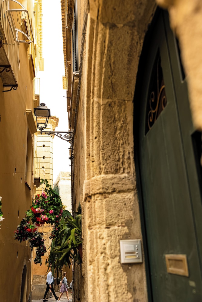 Radici Tropea
