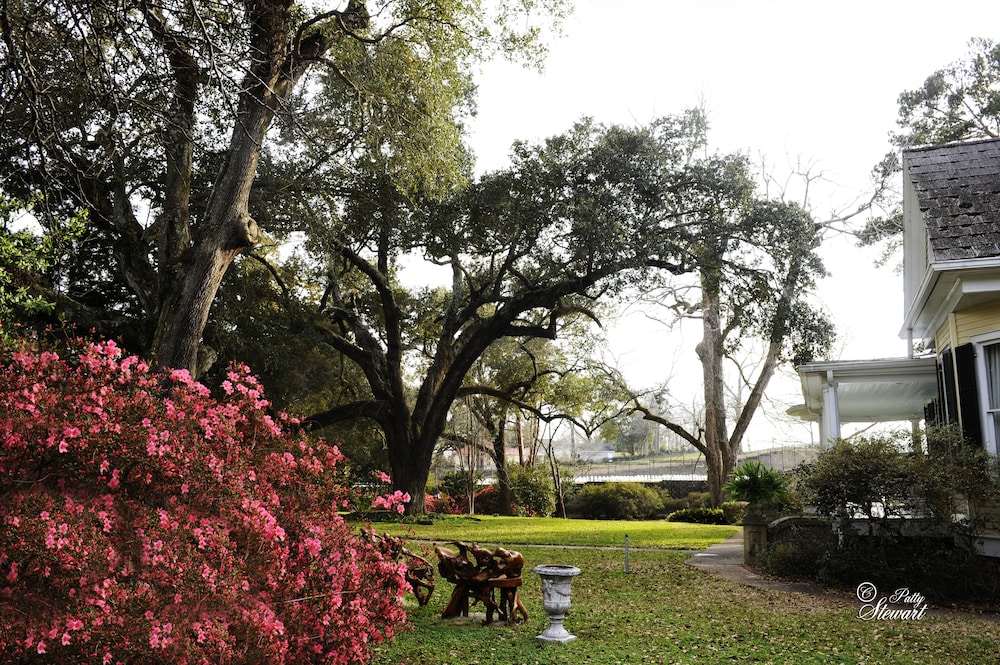 Natchez Vacations - Clermont Bluffs BB - Property Image 8