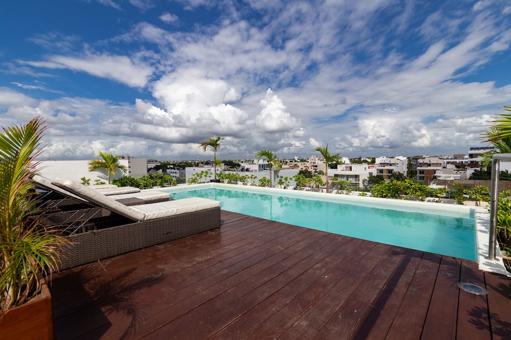 Areca 301 by CocoBR