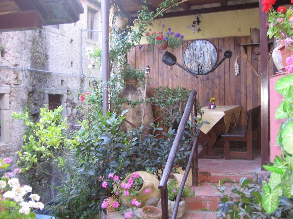 Photo 37