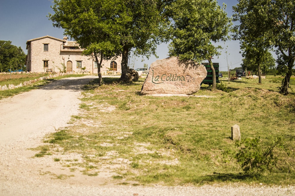 Photo 25
