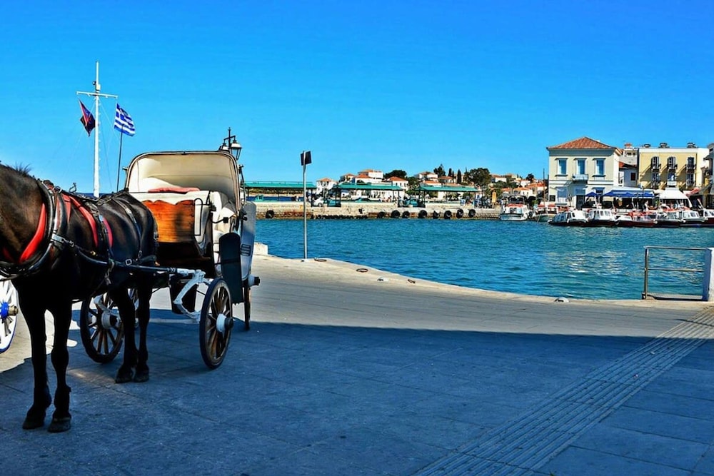 Seaview Splendor - Ostrella Summer Haven