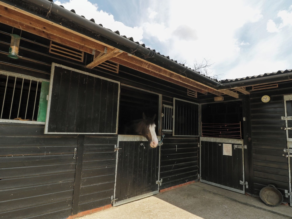 Maidstone Vacations - Bolton Barn - Property Image 3
