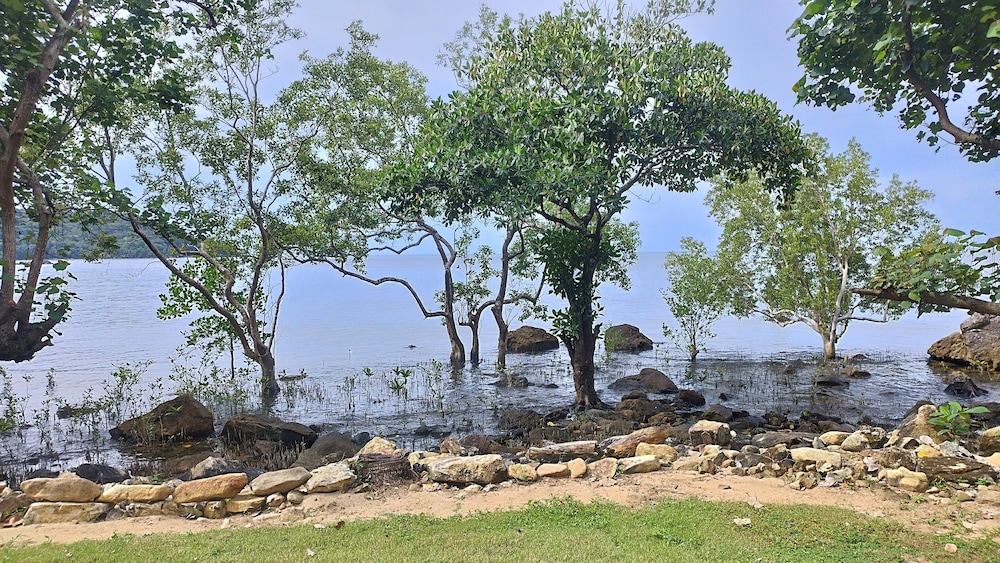 Nest Sense Resort