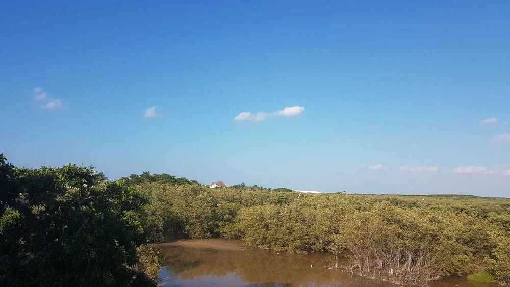 Casa Ka'an view 4