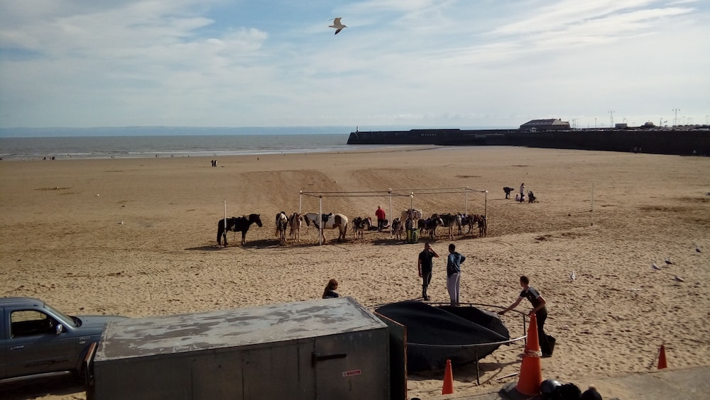 Lavender House