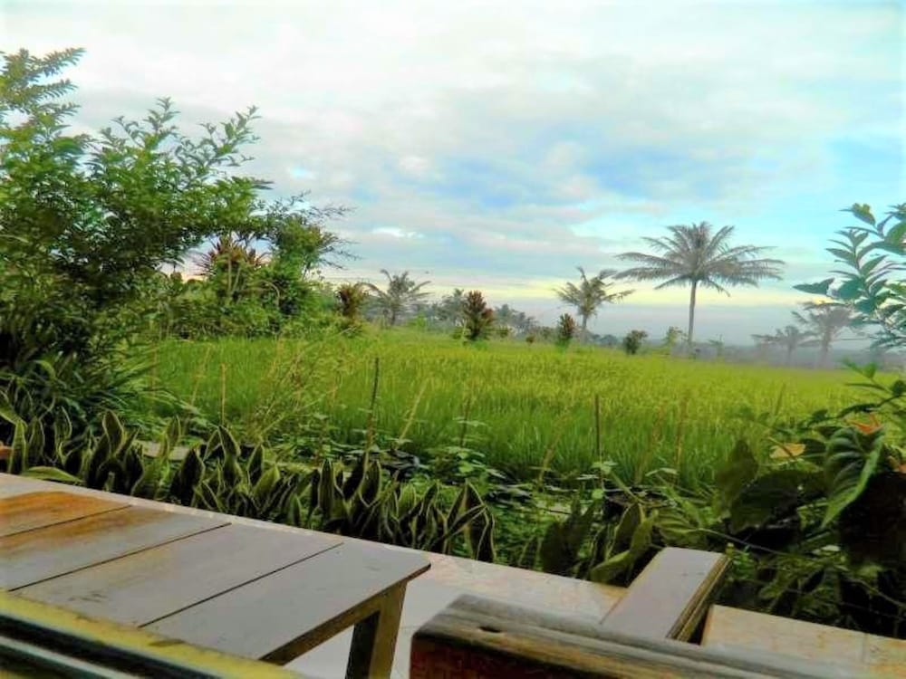 Fida Ijen Crater Guesthouse view 5