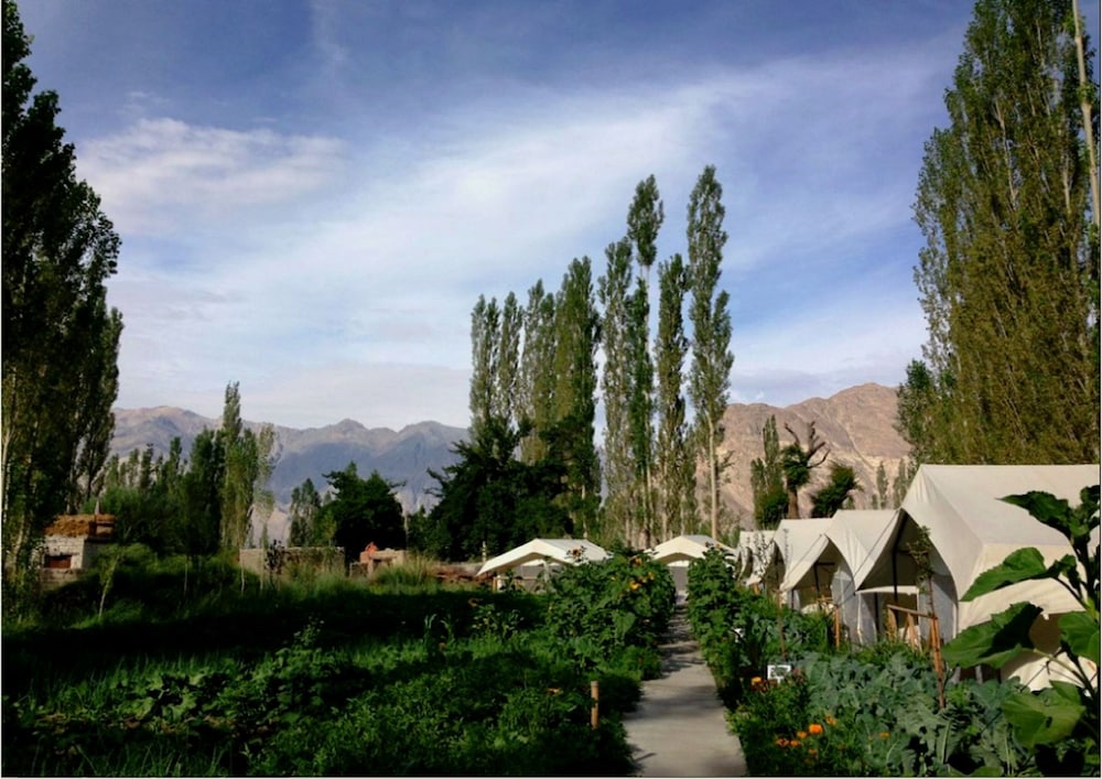 TIH Mystique Meadows Camp