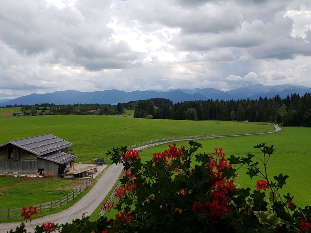 Holiday Apartment Almstuberl