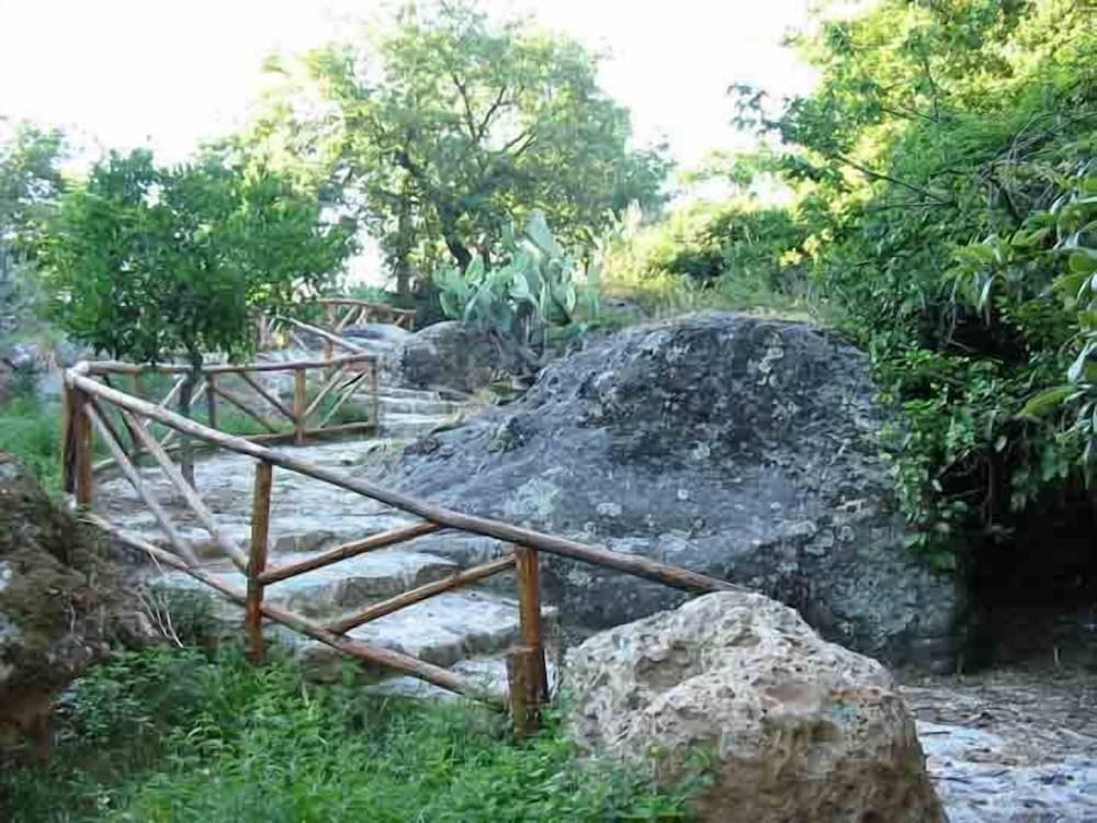 Photo 24