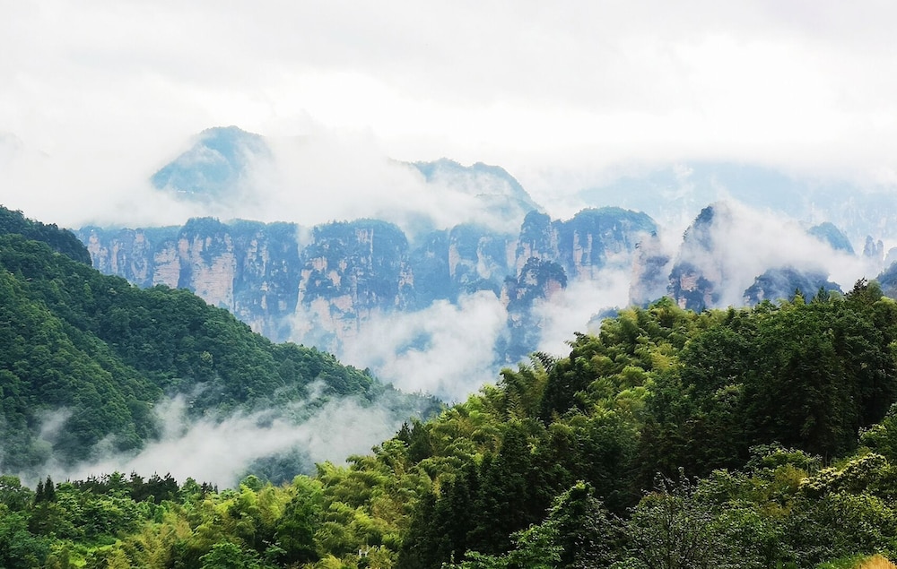 Purespace