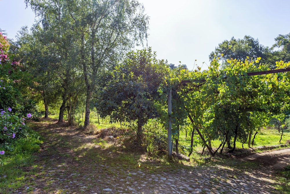 Quinta da Comenda - Casa da Tuia