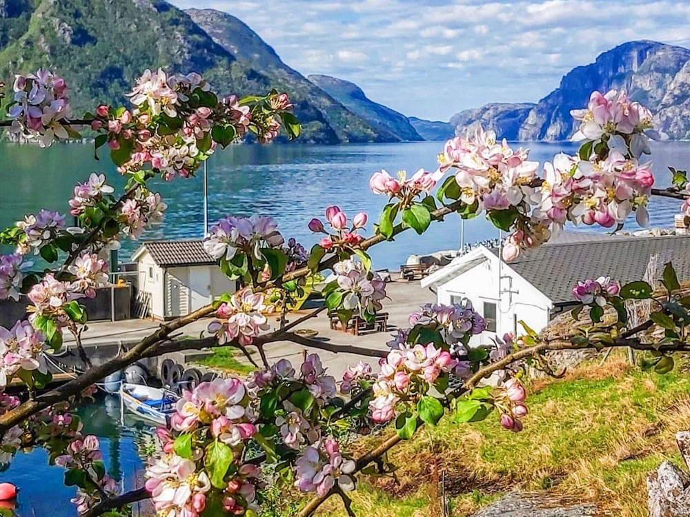 13 Person Holiday Home in Songesand