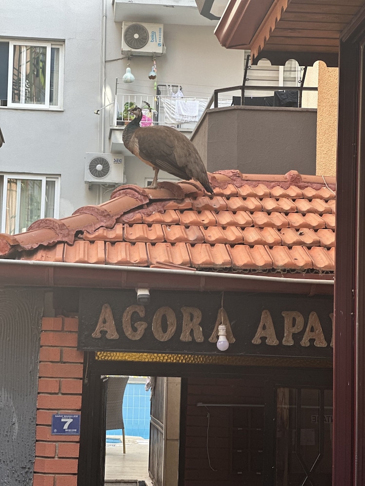 AGORA APART OTEL - Image 31