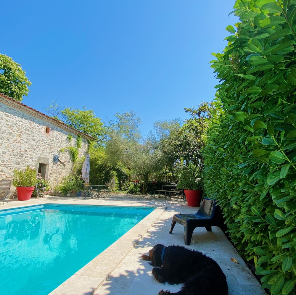 Photo 15