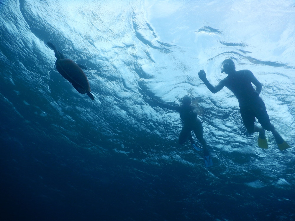 Equa Reef Maldives