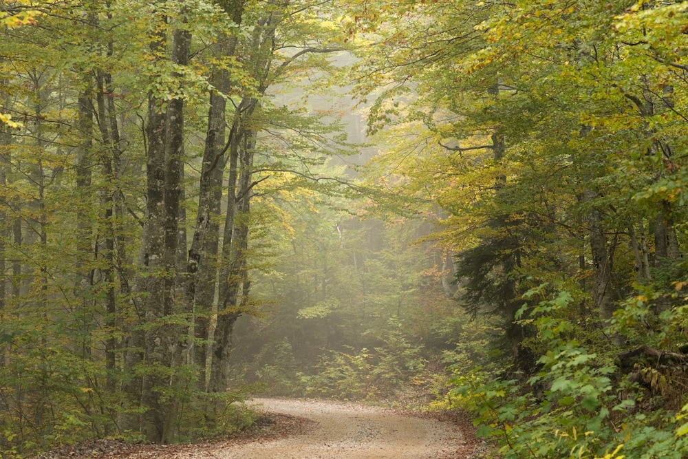 Linden Tree Retreat & Ranch
