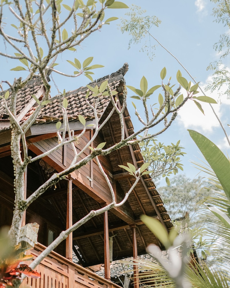 Song Broek Jungle Resort