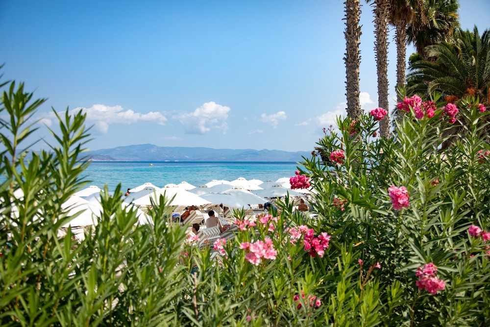 Olive Grove Panorama Suite Pende