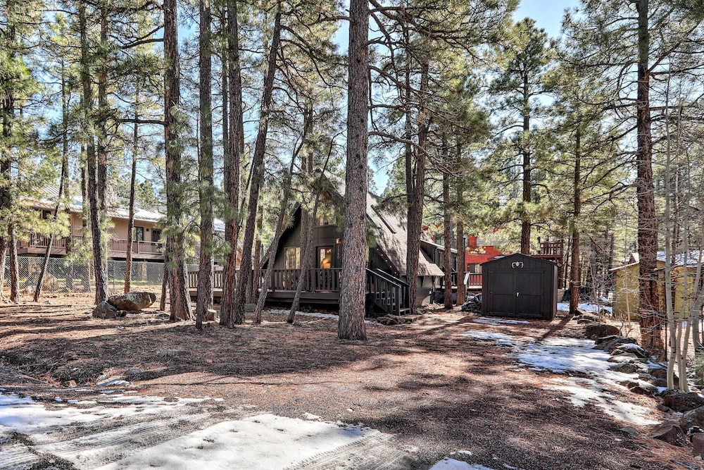 Deck & Forest Views: Munds Park A-frame Cabin view 5