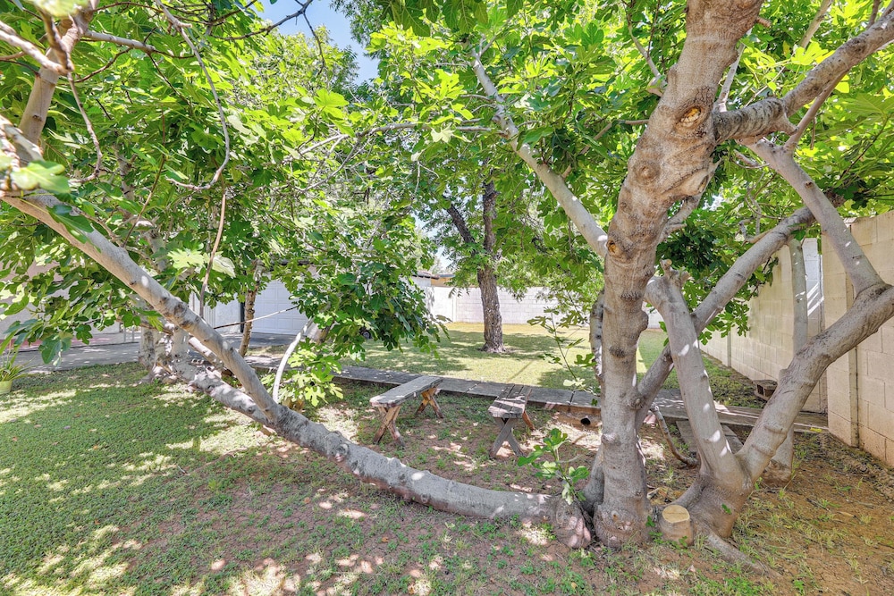 Large Yard & Patio: Historic District Home in Mesa