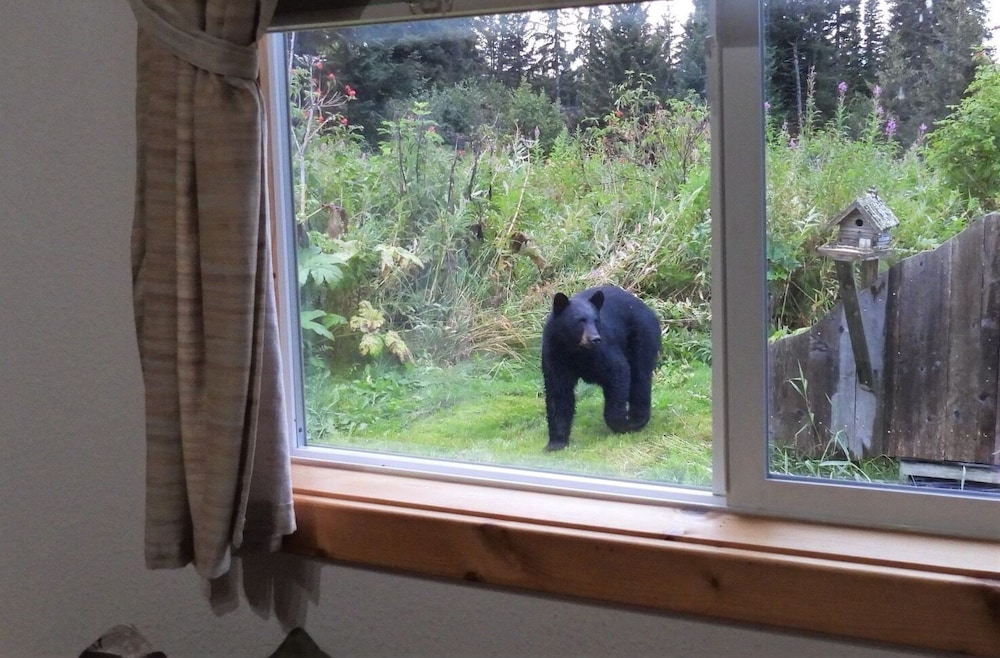 human