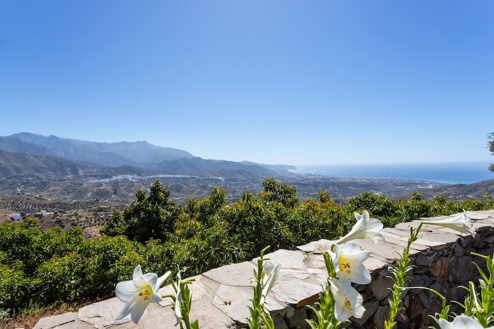 Villa Mediterraneo Villa Mediterraneo Solset