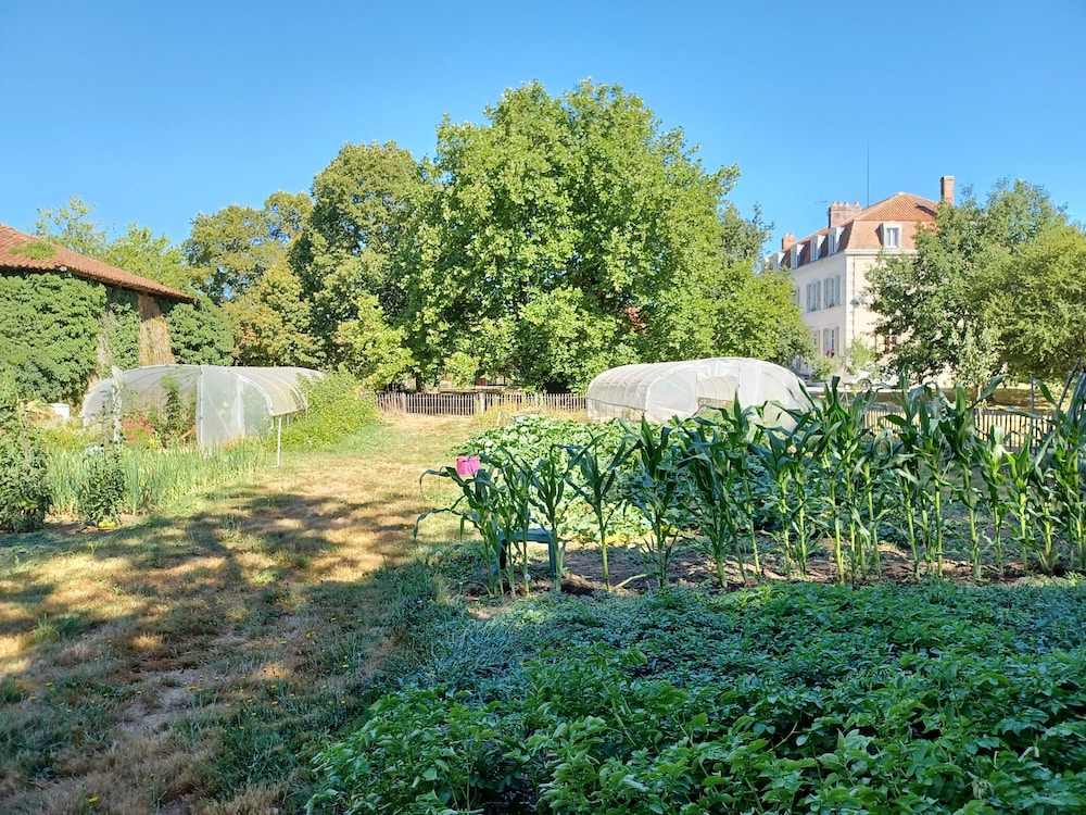 Photo 46