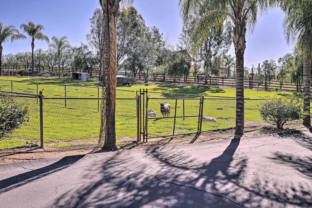 Equestrian Estate w/ Horse Stables & Pool!