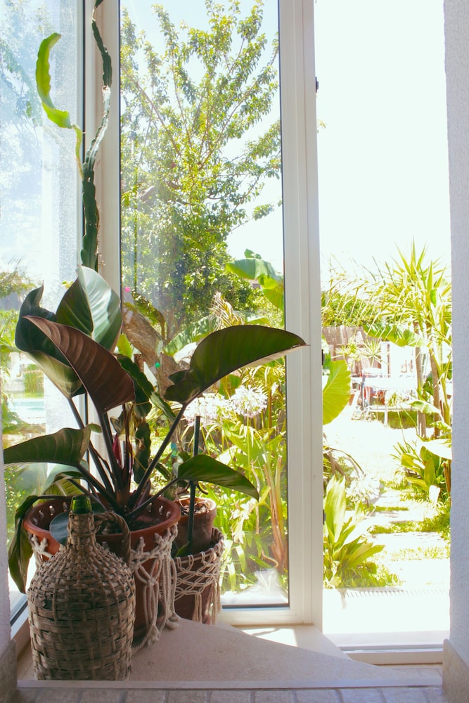 Vila Vale Guest House surf e yoga