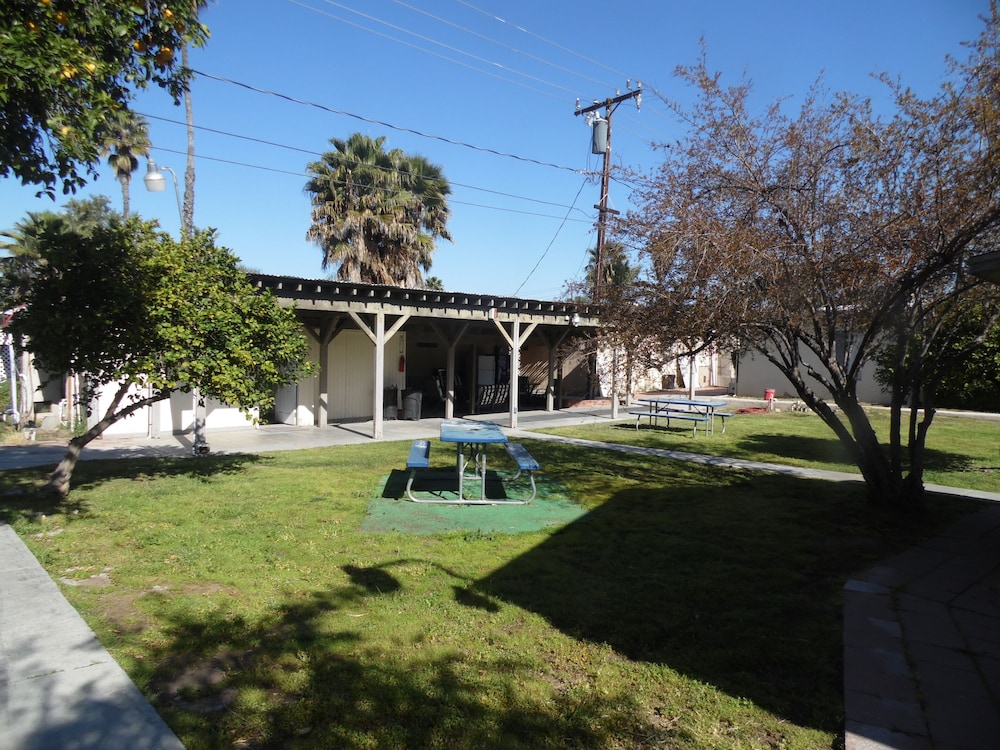 Photo 27